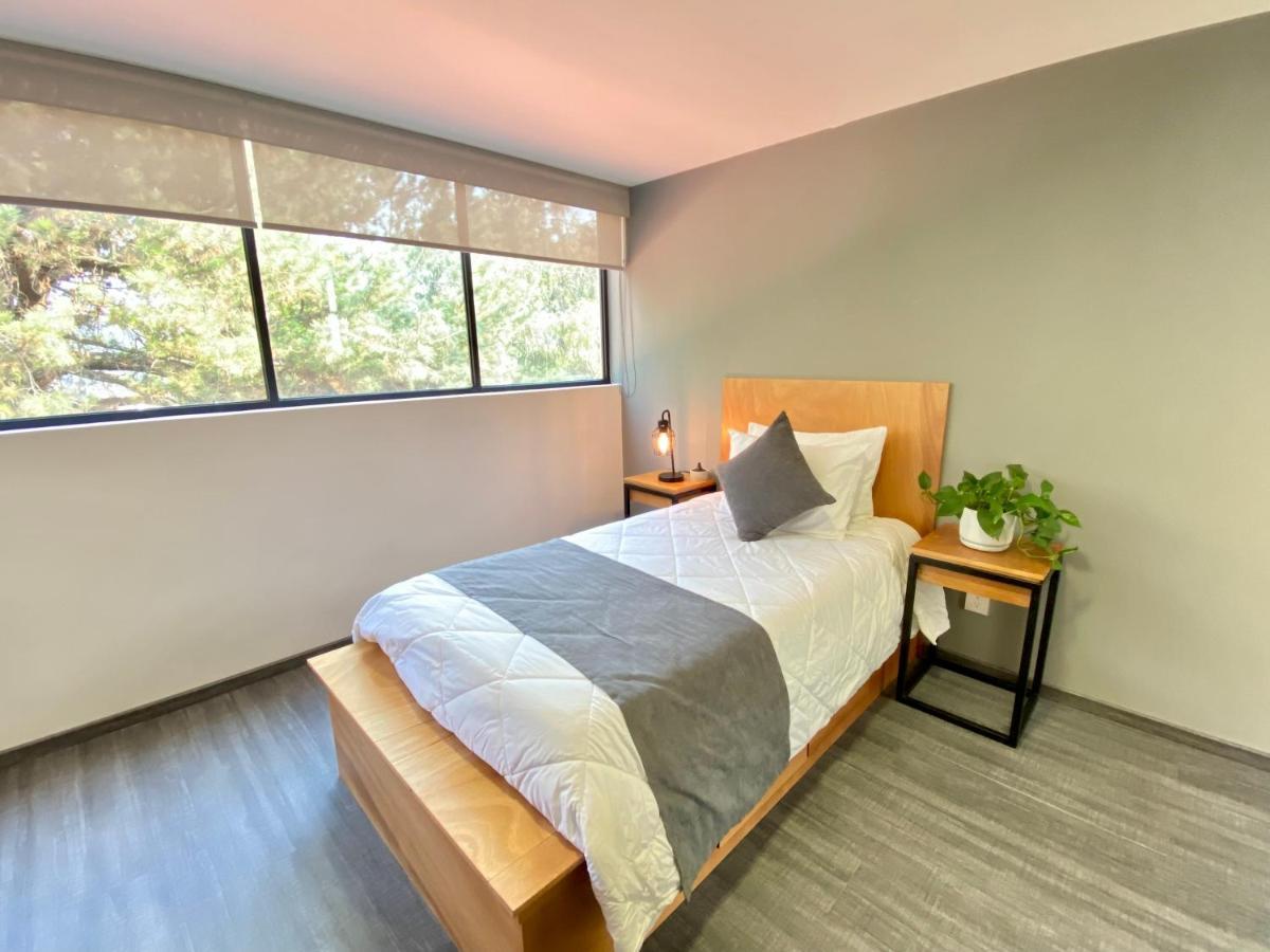 Casa Bonsai Bed & Breakfast Mexico City Luaran gambar